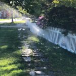 "Drive-by" SHARE Food Drive