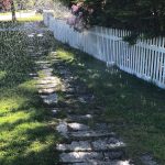 "Drive-by" SHARE Food Drive