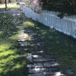 "Drive-by" SHARE Food Drive