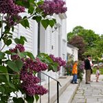 church spring lilacs