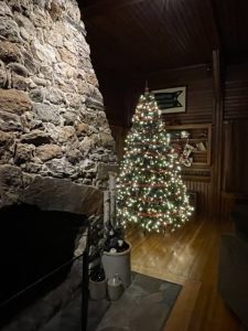 JourneyCakeFarmChristmasTree2